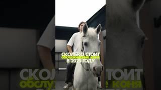 Сколько стоит обслуживание 1 л/с