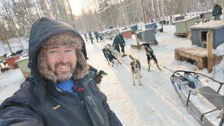 My Incredible Dog Sledding Experience In ALASKA - Mushing Thru The Snow Of Willow / Home Of Iditarod