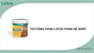 Thi công phun Lotus Stain hệ nước