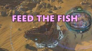 [PoE] Stream Highlights #298 - Feed the fish