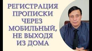 Регистрация прописки через мобильный, не выходя из дома