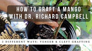 How to Graft a Mango Tree w/ Dr. Richard Campbell