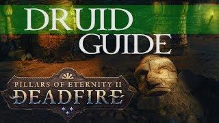 Pillars of Eternity 2: Deadfire - Druid Guide (single and multiclass) for beginners