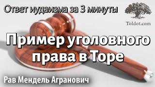 Яркий пример уголовного права в Торе. Ответ иудаизма за 3 минуты. Рав Мендель Агранович