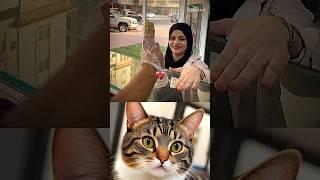 Loss  #cat #memes #funny #trending
