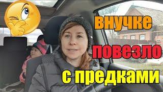 Новый сорт сыра//Всех козлов забрали//Вишенка на "торте"