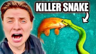 Hunting Down the SNAKE that Killed My FISH