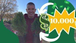 How to Sell $10,000 of plants from home!!