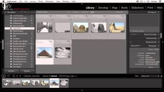 How To Combine Multiple Lightroom Catalogs Into One