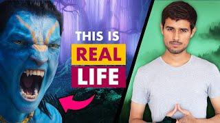 The Sad Reality of Avatar 2 | Way of Water | Dhruv Rathee