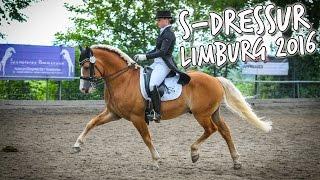 [Turnier] Amani | S-Dressur | Limburg 2016