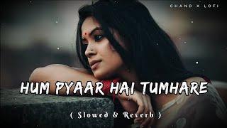 Hum Pyaar Hai Tumhare | Slowed & Reverb | Top Lofi Songs Kumar Sanu / Alka Yagnik #lofi #90s