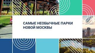 Где в Москве: самые необычные парки ТиНАО