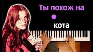  Хит TIkTok | zhanulka - ты похож на кота ● караоке | PIANO_KARAOKE ● ᴴᴰ + НОТЫ & MIDI