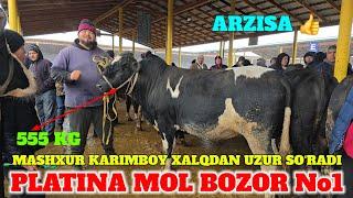 PLATINA MOL BOZOR BUQALAR NARXLARI TAROZIGA OYOG‘IDA MASHXUR KARIMBOY DO‘STIM UZUR SO‘RADI.