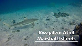 Kwajalein Creatures