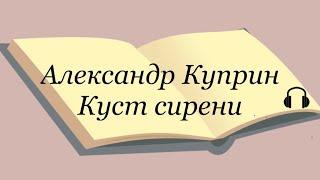 А. И. Куприн "Куст сирени"