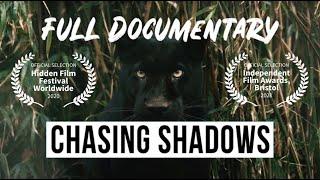 Chasing Shadows: Britain's Big Cat Mystery | Full Documentary