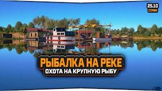 Русская Рыбалка 4 — Стрим на реке Ахтуба, охотимся на крупную рыбу.