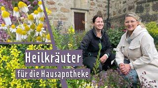 Heilpflanzen für den Hausgebrauch | MDR Garten