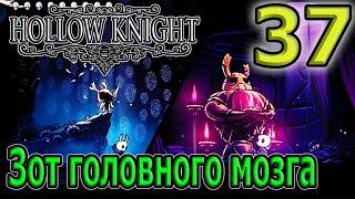 Вечные муки - 50 оттенков Зота / Белый защитник и Зот - до победного / Hollow Knight прохождение