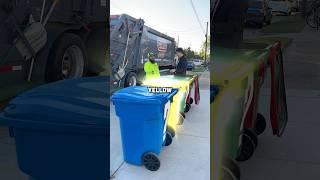 Don't Choose the Wrong Trash Can ️