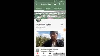 Маршрут к ягодной ферме под Киевом