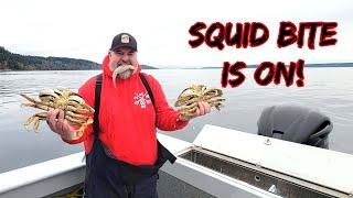 Fishing for squid and crab in area 11 | Jigging squid in Puget Sound 2024