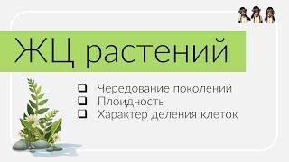 Жизненный цикл растений за 3 минуты