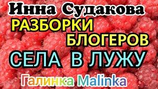 Инна Судакова и Евгений Кривенко /Разборки блогеров /Села в лужу/Обзор Влогов /