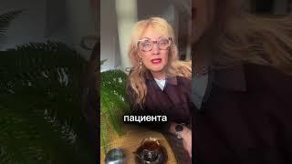 Реальная история - что делать? #медицинскаядокументация #протезированиезубов  #протез