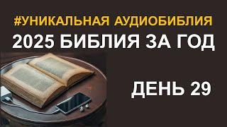 День 29.  Библия за год.  Библейский ультрамарафон портала «Иисус»