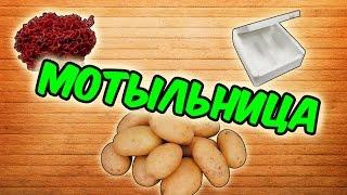 ГДЕ ХРАНИТЬ МОТЫЛЬ ???