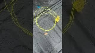 Entanglements We Found So Far #shorts