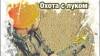 Охота с луком на кабана!!! Записывайте на камеру свои выстрелы!!! Охота и полезный совет!!!