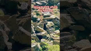 Hard working sea seal  #funnyvideos#viralvideosonyoutube#shortvideos#caughtoncamera