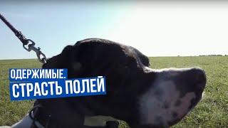Страсть полей \ Одержимые