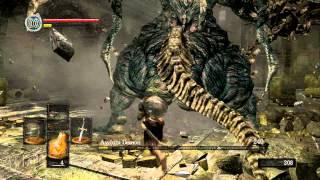 Lets boss fight on dark souls (Asylum Demon)