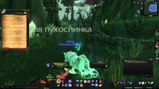 World of Warcraft Quest: Странная энергия (id=9968)