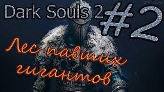 Прохождение Dark Souls 2 — Часть 2 Лес павших гигантов