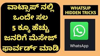 how to forward message more than 5 chats on whatsapp -send message to more than 5 pepole in whatsapp