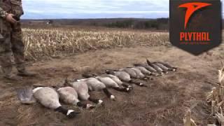 Goose Hunt mid January