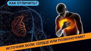 ИСТОЧНИК БОЛИ: СЕРДЦЕ ИЛИ ПОЗВОНОЧНИК? Как распознать?