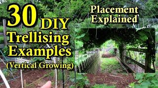 30 DIY Garden Trellising Examples: Build Overview, Crop Examples, & Placement Strategies!