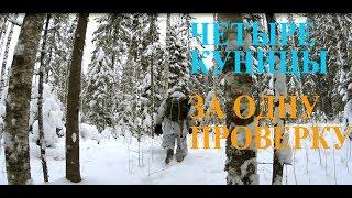 Удачная охота на куницу капканами!!!//Successful hunting for marten traps !!!