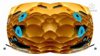 Samsung logo balls in deaf major