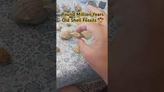 Found Millions years Old Shell fossils  Crystal Cowboy