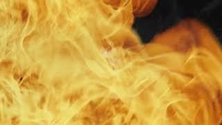 NOME. - Arsonist (feat. Kriss Kiss)