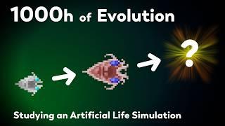 What happens after 1000 hours of Evolution?    Recreating the largest evolution experiment ever