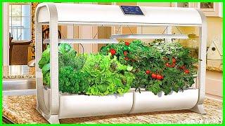 The Best Hydroponic Systems On The Market